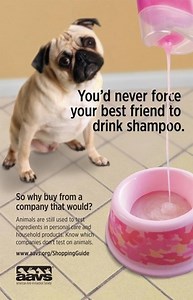 OPINIONS ON ANIMAL TESTING