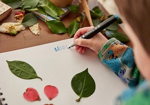 Comment créer facilement un herbier ? Nos conseils pas à pas