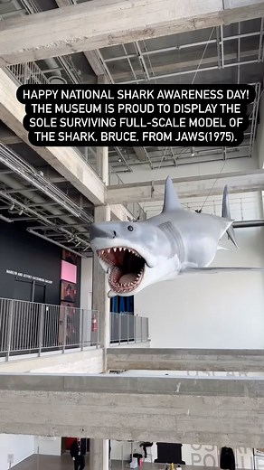 BRUCE 🦈 #Jaws #Bruce #Shark #SharkAwareness | Academy Museum of Motion Pictures