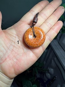 Coral Fossil Necklace - Etsy UK