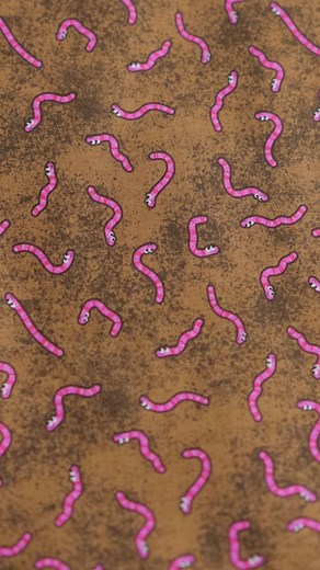 Lettuce get planting! Studio E Fabrics welcomes Australian designer Mel Matthews with her debut collection, Let it Grow! Cuteness abounds in this 14-sku collection featuring familiar garden staples. Adorable carrots, cabbages, tomatoes, gourds and more play nicely across these fabrics of fresh greens and earth tones, with pops of warm color. Little ones will be buzzing to get their hands dirty this Spring with the gardening book panel too! This collection also provides gardening apron projects, 