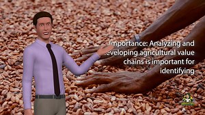 Agricultural Value Chain | The Agriculturo