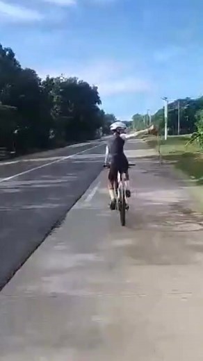 Funny Siklista TikTok Compilation
