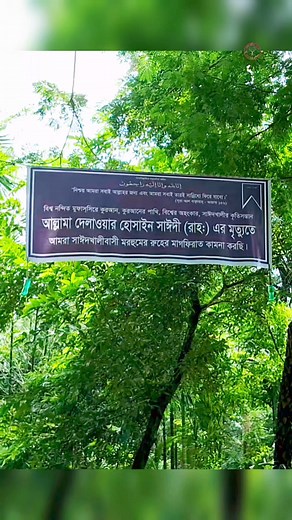 Miss you Dear Allama Saydee #reels #saydee | পূর্ণাঙ্গ জীবন ব্যাবস্থা