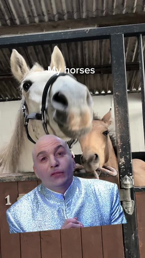 Horses of TikTok: Meet Elphick Event Ponies and More!