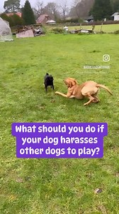 6.4K views · 27 reactions | This is a common behaviour in growing...