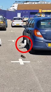 315K views · 869 reactions | Pass jane ka galti na kare...