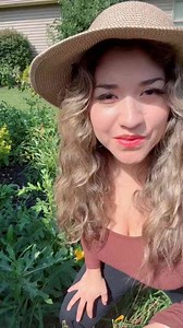 Harvest Day: Purple Peruvian Potatoes