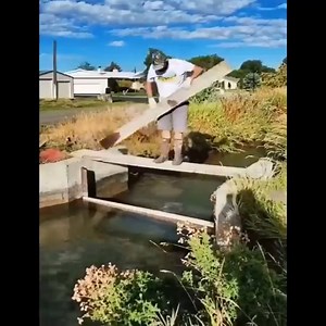 Construction of wooden dams | Creative Crafty Mama | Facebook