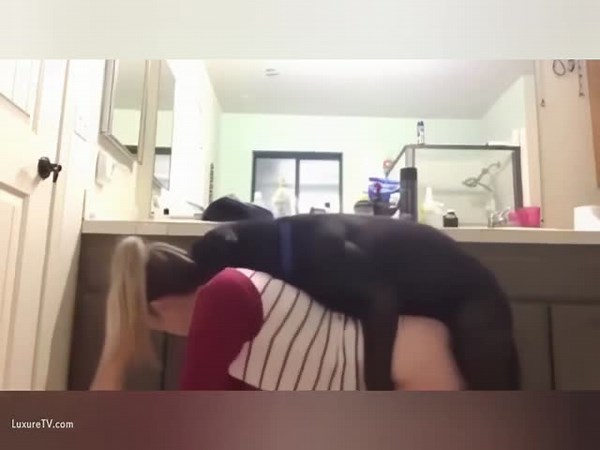 Amateur compilation