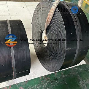 [Hot Item] Conveyor Belt for Cement Plant B350 St800 Bucket Lifting Belt Heat Resistance Type