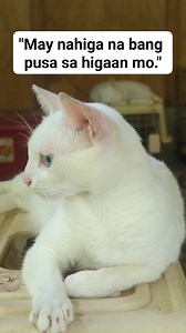 15M views · 286K reactions | Ayon sa paniniwala ng matatanda, may...