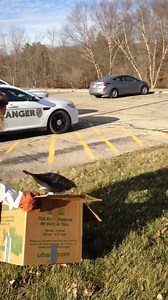 12K views · 473 reactions | This past Thanksgiving, Ranger Shannon...