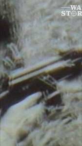 353K views · 9.2K reactions | Supply Column 21 is on its last legs. Marines are desperately trying to fend off the VC. As they close in for the kill, a bullet rips through his neck. Part of his head is gone. Private Hearn is left for dead as the VC disappear into the jungle. #Marine #VietnamWar #Survival #Courage #MilitaryHistory | War Stories | Facebook