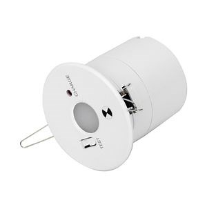 [Hot Item] Hot Sale 2W 3h Non-Maintained Rechargeable LED Downlight for Emergency Lighting Use