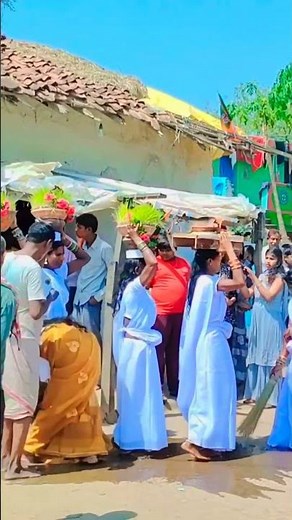 जावरा गंगा बर जाए 🌾🌾🌾#cgshorts #cgtrendingsong #cgsong #cgviral