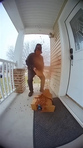 Porch Pirates Caught Stealing Amazon Packages Get Instant Karma 😳📦 | Boundless Estates