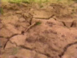 Kalamarka - Aguas Claras 🇧🇴 | Música De Bolivia
