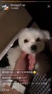 [VID] 170522 Z. Tao Weibo Story Update Cr. BaiduTaoBar ~Zep | Z.Tao USA