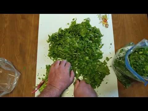 CLEAN AND CHOP BROCCOLI RABE THEN FREEZE