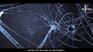 2K views · 28 reactions | The four stages of fasting #Ramadan | Muslim Women's Council | Facebook