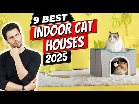 The 9 Best Indoor Cat Houses of 2025 | Get the Best Indoor Cat House Now!