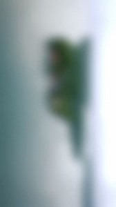 15K views · 304 reactions | സാമ്പ്രാണികോടി മുനമ്പിന്റെയും കുരീപുഴ -...