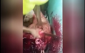 Gore video - A group of prisoners beheading and dismembering the body of a rival prisoner - XGore - Extreme Gore Videos