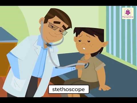 Internal Organs of Human Body | Environmental Studies For Kids | Grade 2 | Vid #4