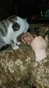 65K views · 6.7K reactions | Morning shower before work. | In Ukraine | Facebook