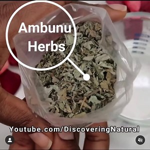 15 reactions · 7 comments | AMBUNU herbs for the win  win Where to buy: https://amzn.to/3mjoqE7 Use it as a detangler, shampoo, leave in, moisturizer, deep conditioner and styler. How to use it : https://bit.ly/3iZjJx3 | DiscoveringNatural | Facebook