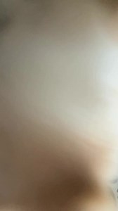 33K views · 53 reactions | Kissing Princess Paws  #pomeranian #pompom #pomeranianworld #pomeranianpuppy | Jessenia Vice | Facebook