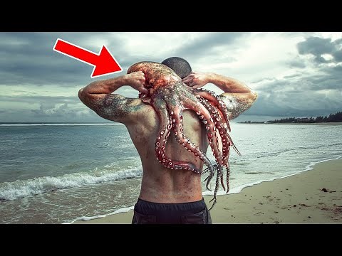 Most Venomous Animals On The Planet