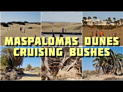 Playa del Inglés Cruising Dunes close to the Maspalomas Gay Naturist beach 🌈 on the Gran Canaria