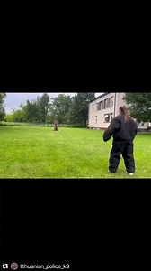 1K views · 22 reactions | " .  IG @lithuanian_police_k9 ..............  Link to buy Tshirt in my bio  @k9unitproud . . #policedog #policek9intraining #k9 #k9unit #policek9 #k9cop #k9gsds #k9security #k9protection #policek9unit #k9lifesavers #k9handlers #k9cops #k9lifestyle #k9team #k9officer" | K9 UNIT PROUD | Facebook