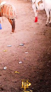 24K views · 262 reactions | ARRANCONES DE MA MUERTE  16 de Noviembre 2025 Plaza Emiliano Zapata Ranchito del Salvador . | Empresa HP | Facebook