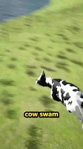 Woman Survives Skydiving Fall 😨 | Simpli-Ed