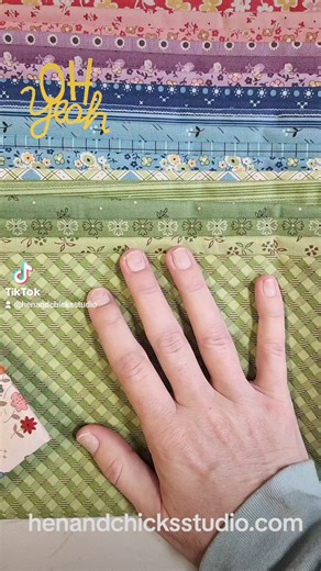 3.4K views · 33 reactions | #iowaquiltshopandretreatcenter Riley Blake Designs | Hen & Chicks Studio | Facebook