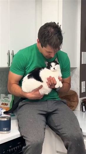 This cat is obsessed with his "dad". The moment Bruno stepped into the house, Kelsey thought they would be best friends. That's until the kitty met her husband 💖✨When my husband appears, everything changes. If he just walks by, Bruno will sprint at full speed straight to him. In the evenings, I often look over and see my husband holding Bruno in his arms, kissing him nonstop, while Bruno closes his eyes and stretches out, asking for even more. When we first met Bruno at the shelter, my husband 