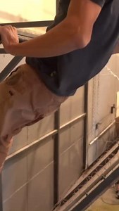 16K views · 196 reactions | What's your upper body warm-up routine? #epictraining | EpicTV | Facebook