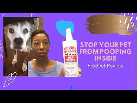 How to stop your pet from peeing and pooping indoors.