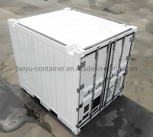 [Hot Item] 10FT Offshore 271 Reefer Shipping Container with Csc Certificate