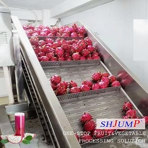 [Hot Item] Dragon Fruit Pulp Processing Production Line Machine