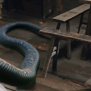 128K views · 384 reactions | The wife was a serpent, and the husband picked up the sword in his hand. 妻子竟是蛇妖，丈夫拿起手中的剑。 #cdrama #chinesedrama #何与 #heyu #胡意旋 #HuYiXuan #SwordandFairy #又见逍遥 #tvdram | 奇幻剧透社 Fantasy Drama Club | Facebook