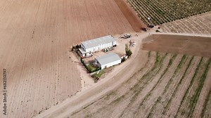 Olive trees farm with circle fields in Spain aerial view