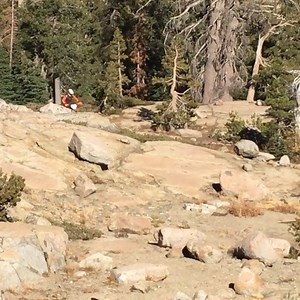 1K views · 51 reactions | U.S. Army Donner Hare Scramble!! A race you...