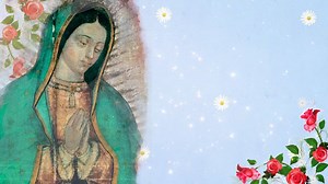 Oración del Santo Rosario Mariano de hoy Sabado 19 de Diciembre de 2020, Soberana María, te pedimos por todas las familias de nuestro país; haz que cada hogar de nuestra patria y del mundo sea fuente de comprensión, de ternura, de verdadera vida familiar. Que estas fiestas de navidad, que nos reúnen alrededor del pesebre donde nació tu Hijo, nos unan también en el amor, nos hagan olvidar las ofensas y nos den sencillez para reconocer los errores que hayamos cometido. Misterios Gozosos. | Pastora