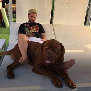 36K views · 639 reactions | Pogba, Messi, Sanchez: football players playing with their pets  | Magic Hands Creations | Facebook
