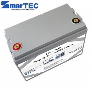 [Hot Item] 12V 100ah Interstate Deep Cycle Battery LiFePO4 Battery Lithium Battery