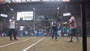 DRAGON WARRIOR GREY at RGBA Stag Derby Fight of our friend. Welcome kayo mga #KaWarriors at #Kasabongs sa mga quality cocks, stags at breeding materials ng DWGF farm at Lipa City, Batangas😊🇵🇭😊 #dragonwarriorgamefarm #webreedchampions #DragonWarrior #FIESTAG #FIESTAG2018 #NFGB #LGBA #KaWarrior #Kasabong #BAKBAKAN #BAKBAKAN2018 #BAKBAKAN2017 #WORLDGAMEFOWLEXPO #Digmaan #DIGMAAN2018 | Anthony Jacinto